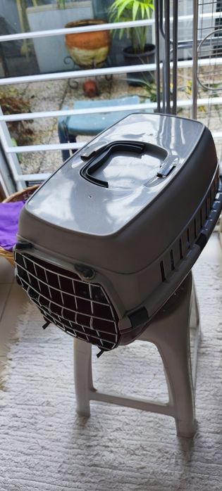 Transportadora para gatos