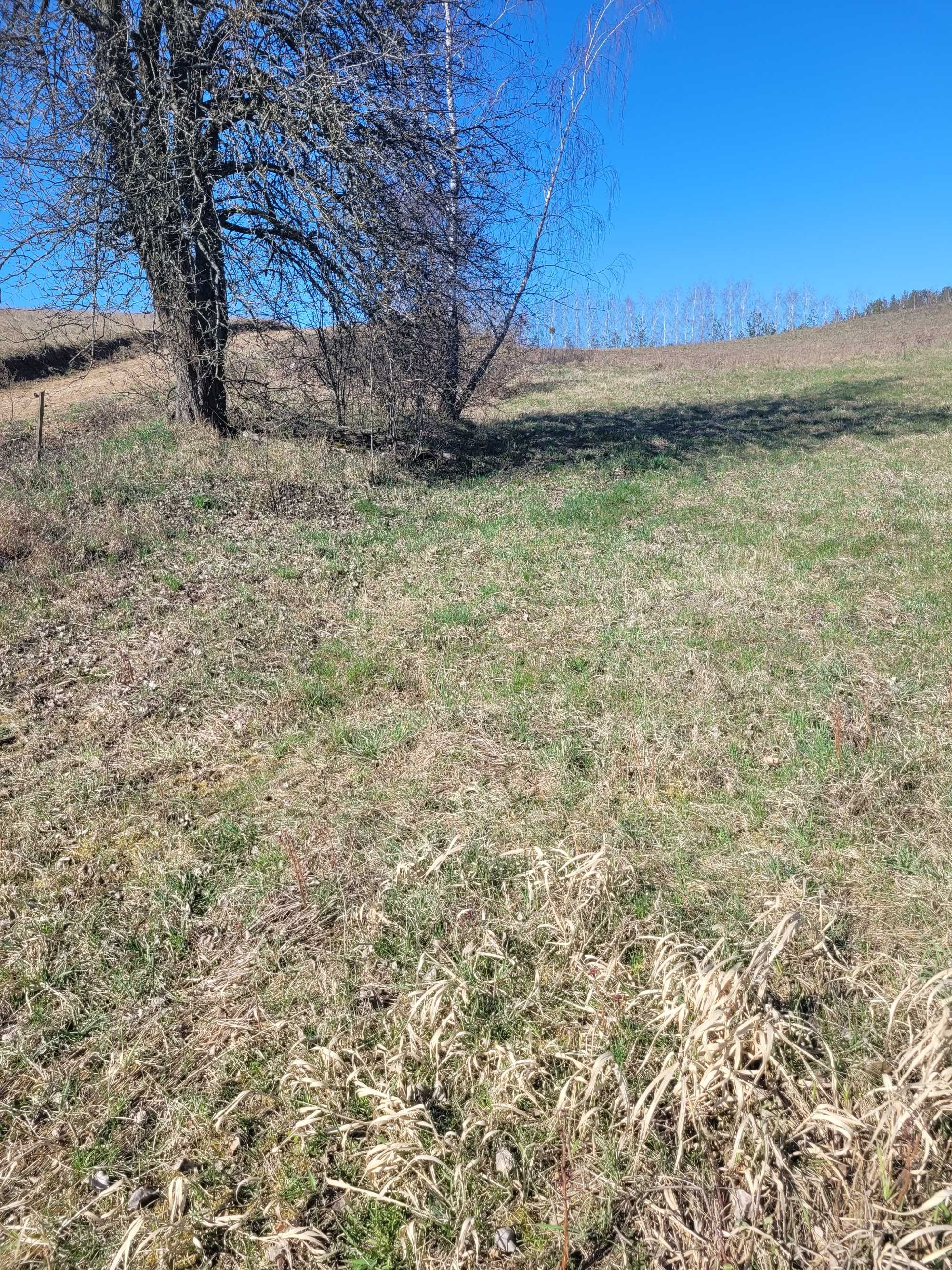 Działka Lubiewo/Mikołajki