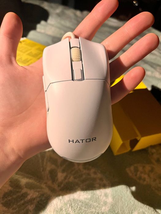 Мишка для компьютера