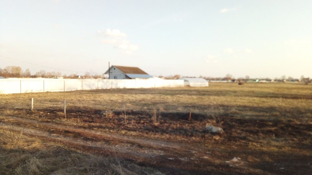 Продам участок 38 соток в селе Гоголев