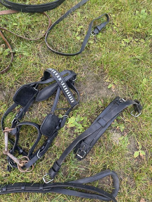 Uprzaz szory dla kucyka