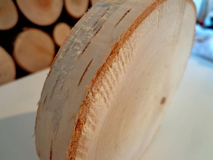Plastry drewniane krążki drewna brzoza 14-17cm