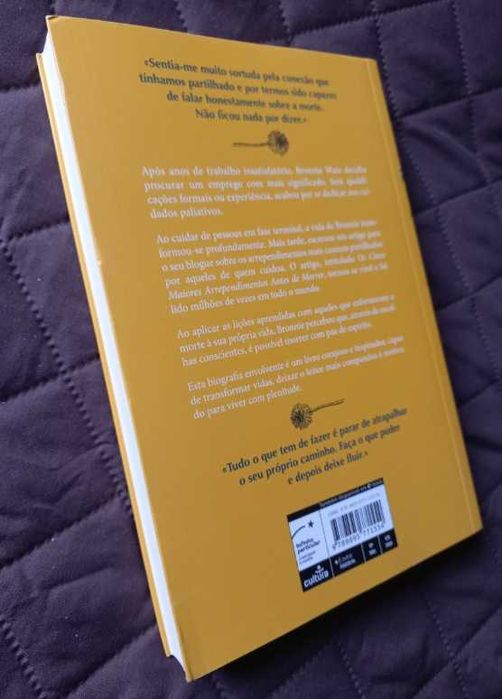 Os Cinco Maiores Arrependimentos Antes de Morrer - Bronnie Ware