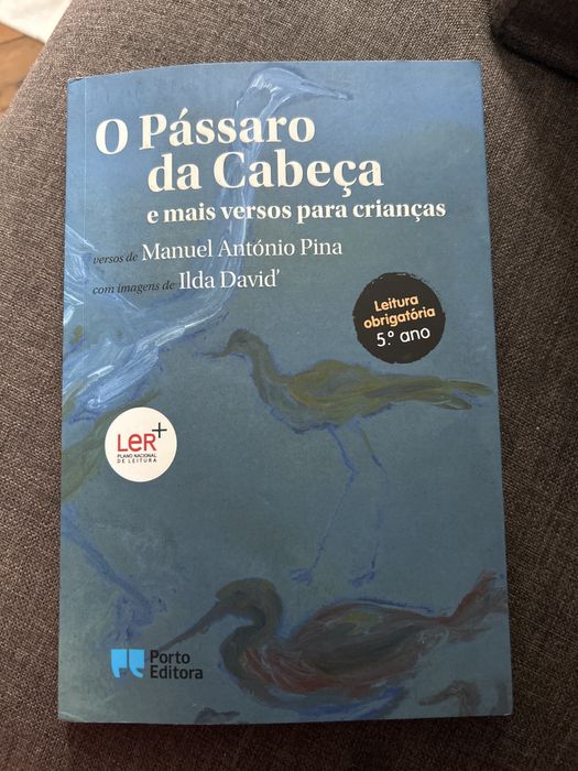 O passaro da  cabeca