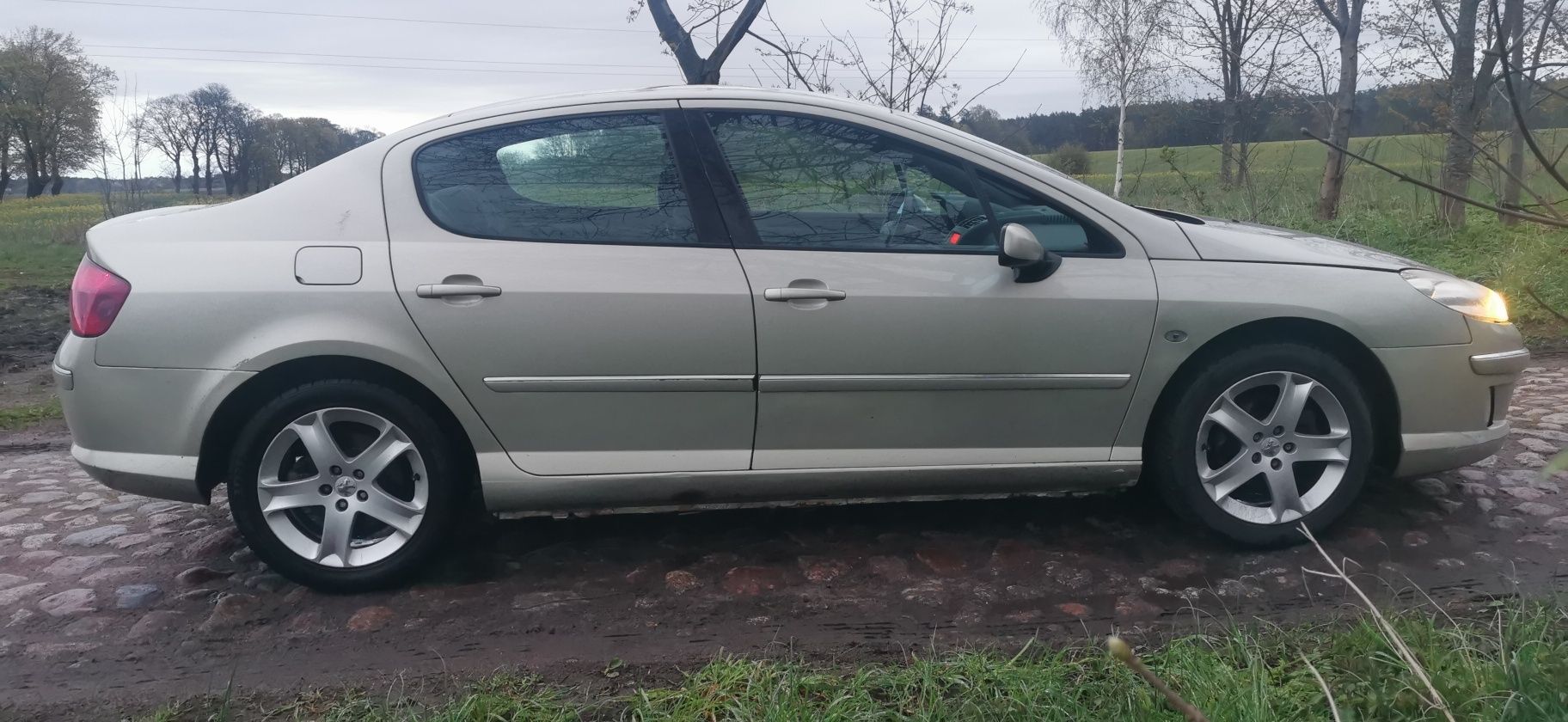 Peugeot 407 1.6 hdi