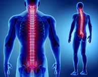Fizjoterapia, Rehabilitacja stomatologiczna, trening spaccurl