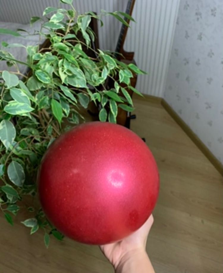 Мяч для худ. гимнастики Passtorelli