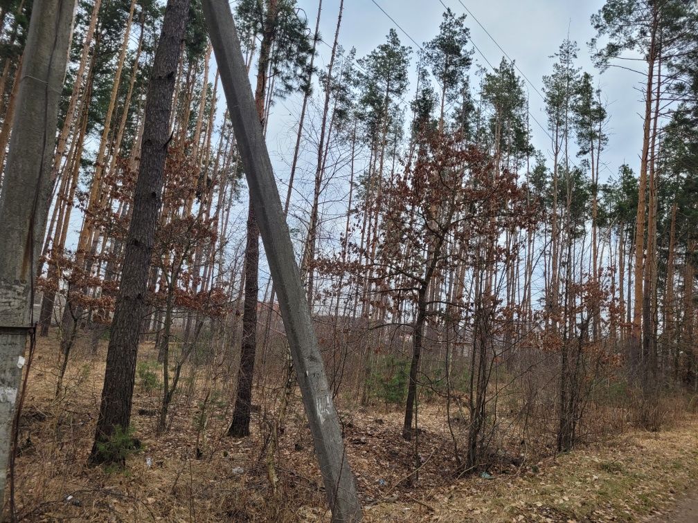 Продаються 4 ділянки по 11 соток в с.Новогуйвинськ