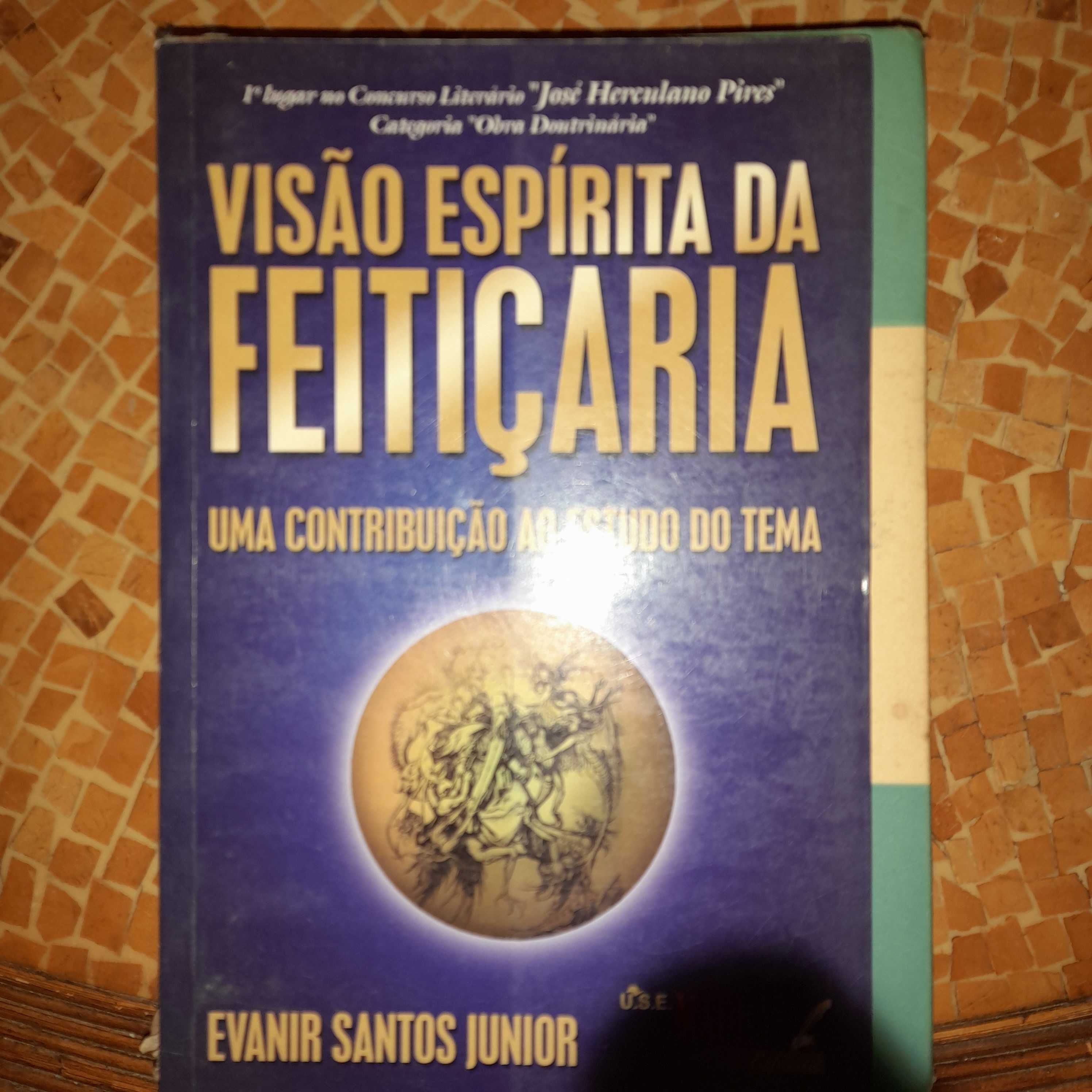 Livros diversos em bom estado