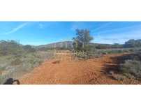 Terreno plano junto a estrada alcatroada em Quelfes, Olhão