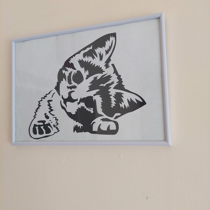 Obrazy w antyramkach KOTY