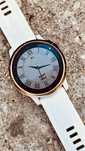 Smartwatch Garmin Fenix 6S Pro 42mm GPS