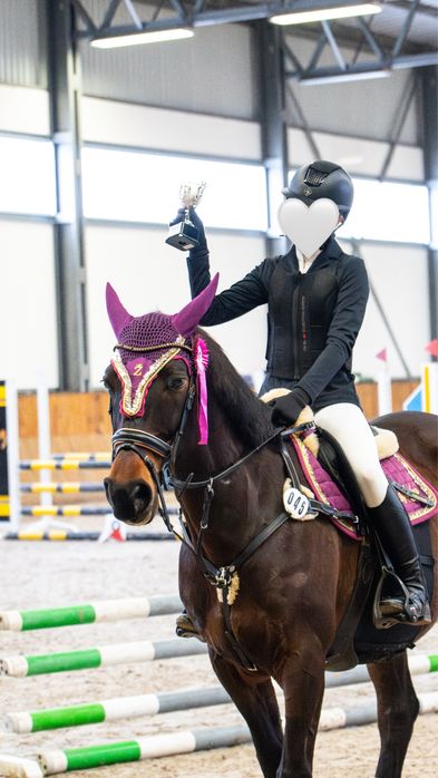 Prywatny kon do dzierzawy Bytom