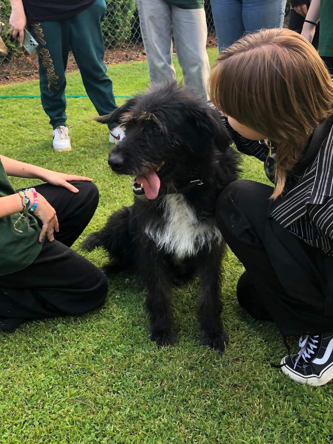 Xena poleca się do adopcji