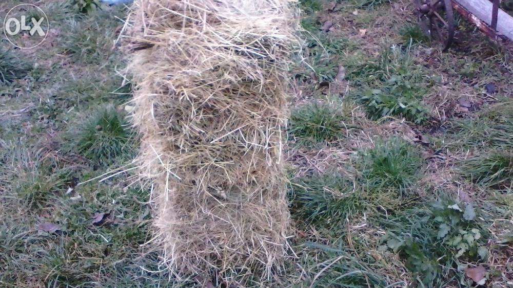 Продам Сіно в тюках