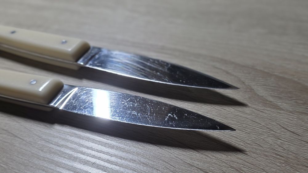 Zestaw 2 noży do steków  - DEGRENNE - France