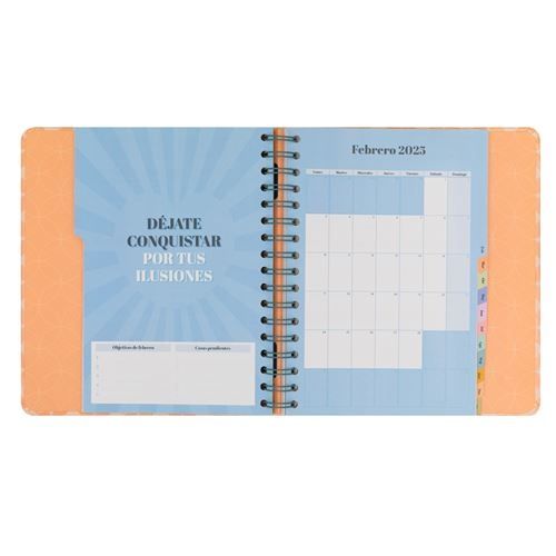 Agenda mr wonderful