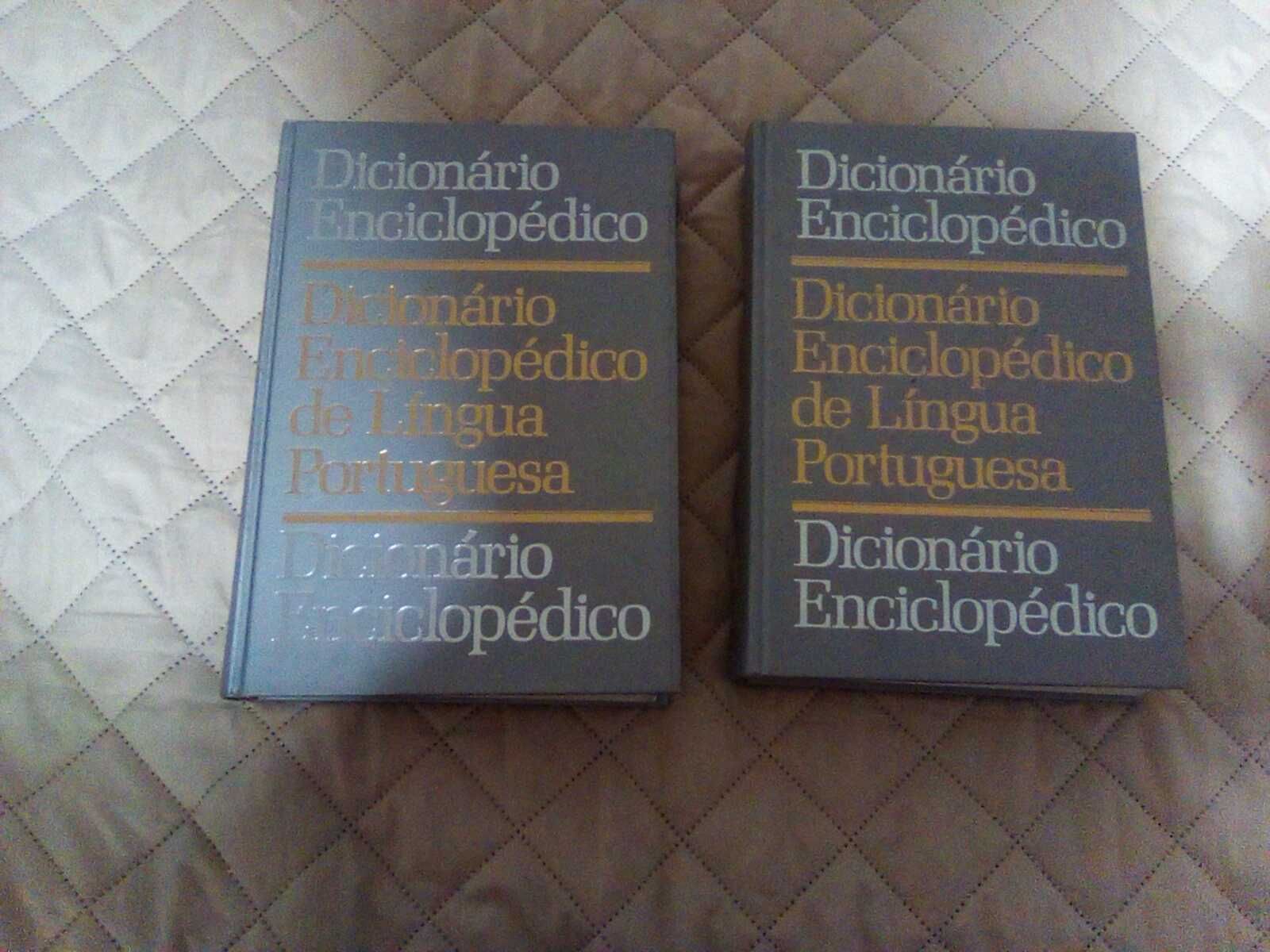 Dicionário Enciclopédico de Língua Portuguesa