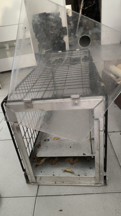 Gaiola / armadilha animais