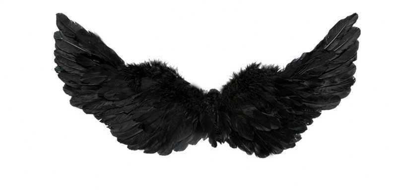 Skrzydła czarne na halloween