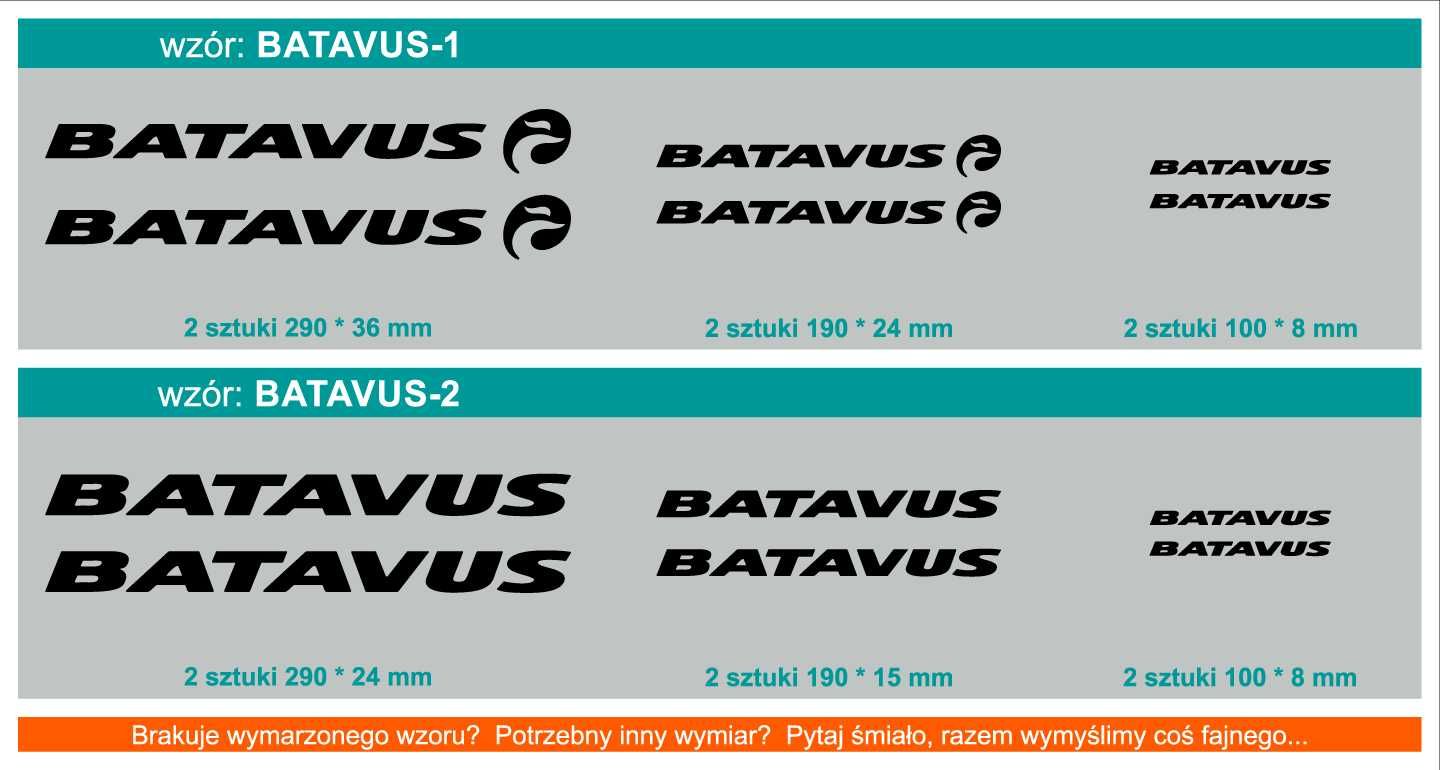 BATAVUS naklejki zastępcze na rower komplet 6 sztuk