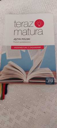 Teraz matura język polski poziom podstawowy vademecum z zadaniami