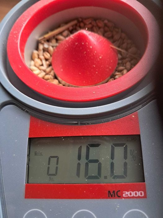 miernik wilgotności zboża