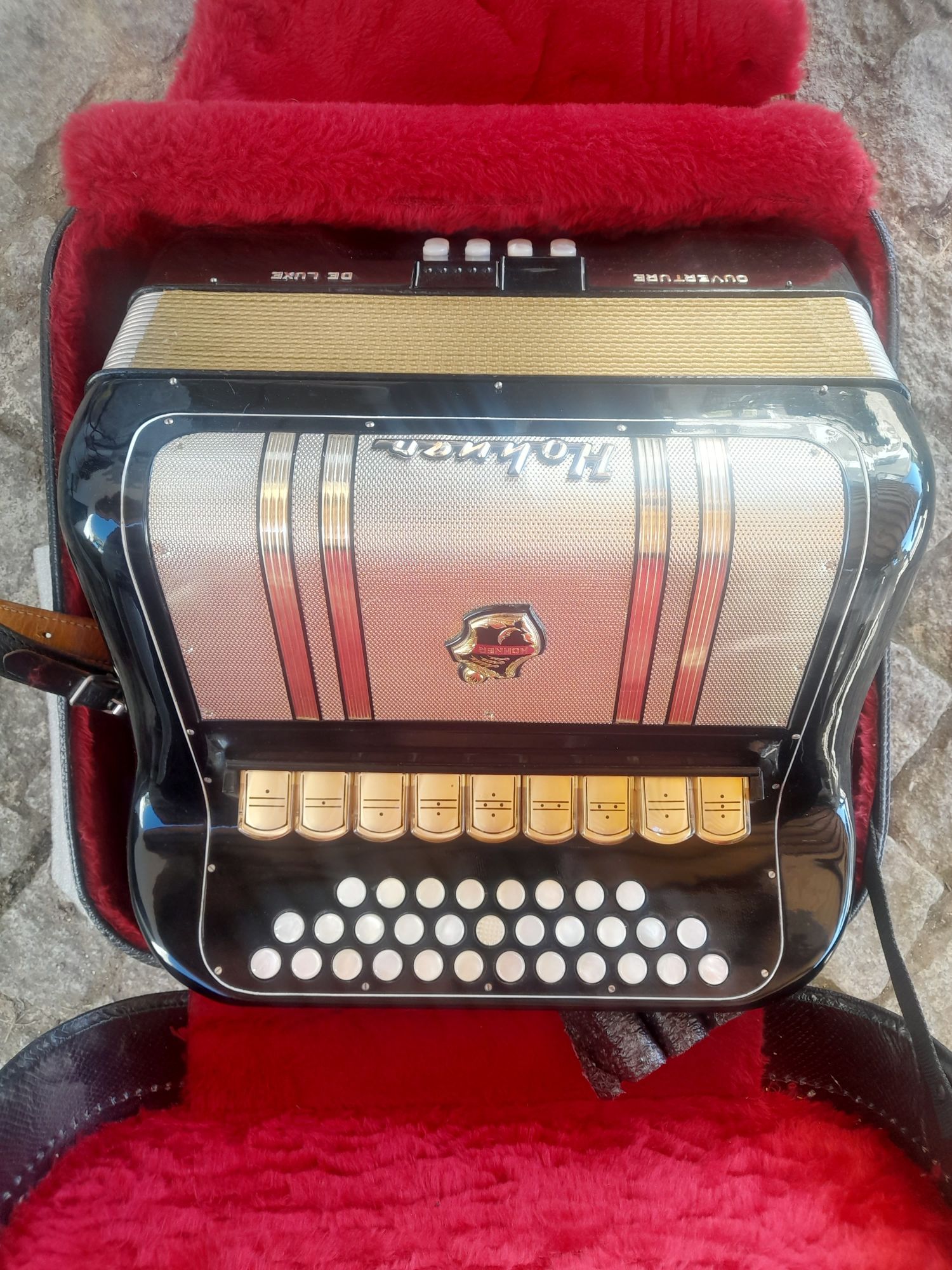 Concertina Hohner