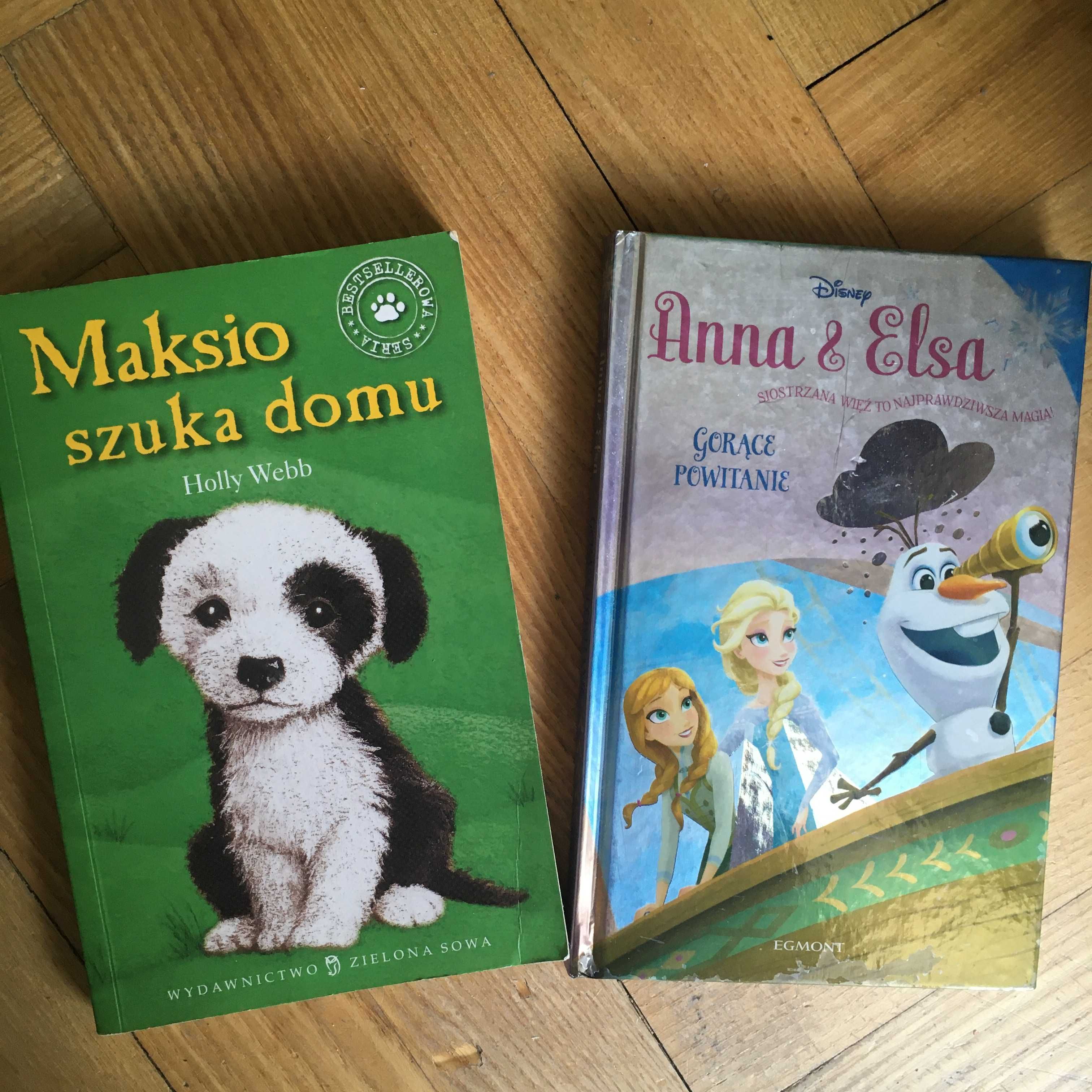 książka Anna i Elsa gorące powitanie Maksio szuka domu Holly Webb