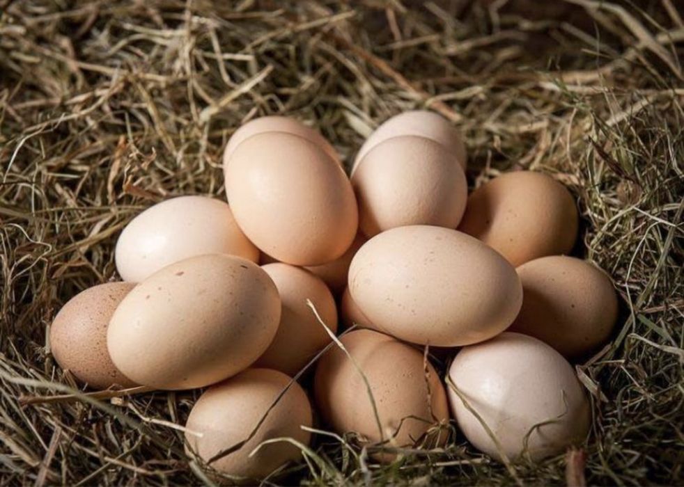 Sprzedam świeże jaja wiejskie