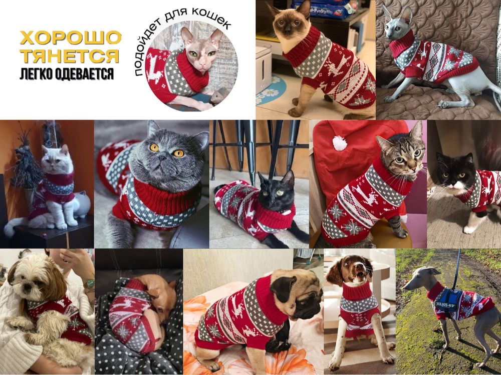 Толстовка свитер для кошки или собаки