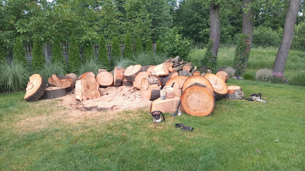 Najtaniej/szybka realizacja Arborystyka Wycinka Pielegnacja Drzew