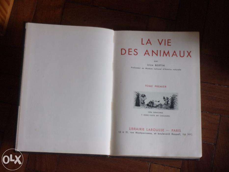 Diversos livros em francês