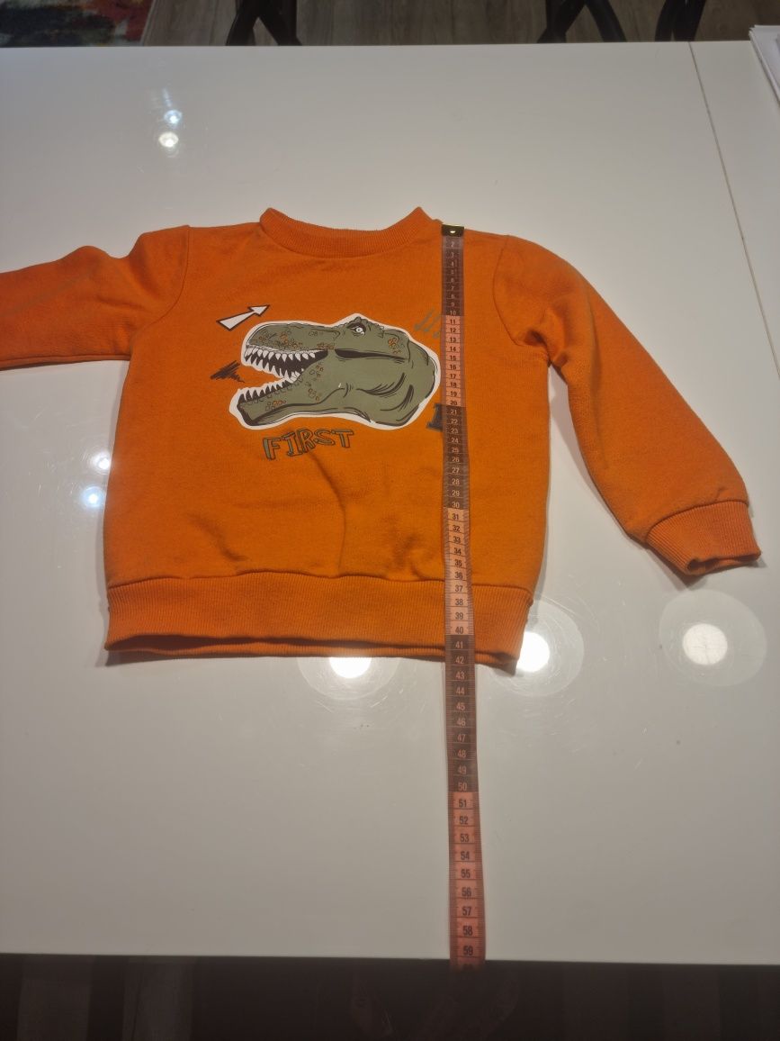 Bluza z dinozaurem rozmiar 116 Sinsay