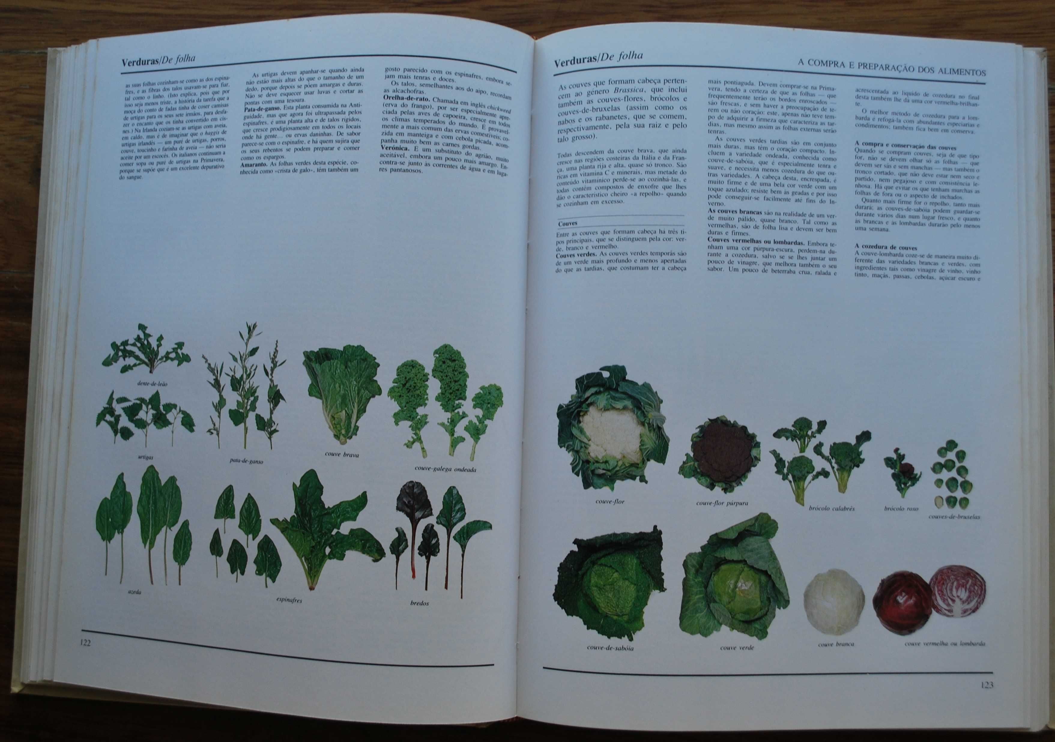 O Grande Livro Ilustrado da Culinária