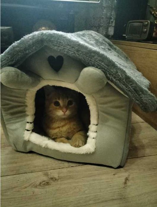 Legowisko Dla Kota Kotów Domek Budka Kojec Pluszowy Poduszka Buda