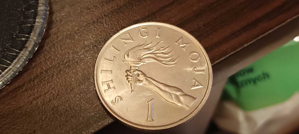 Moneta Tanzania 1 Shiling, Julius Nyerere  1981 Lustro