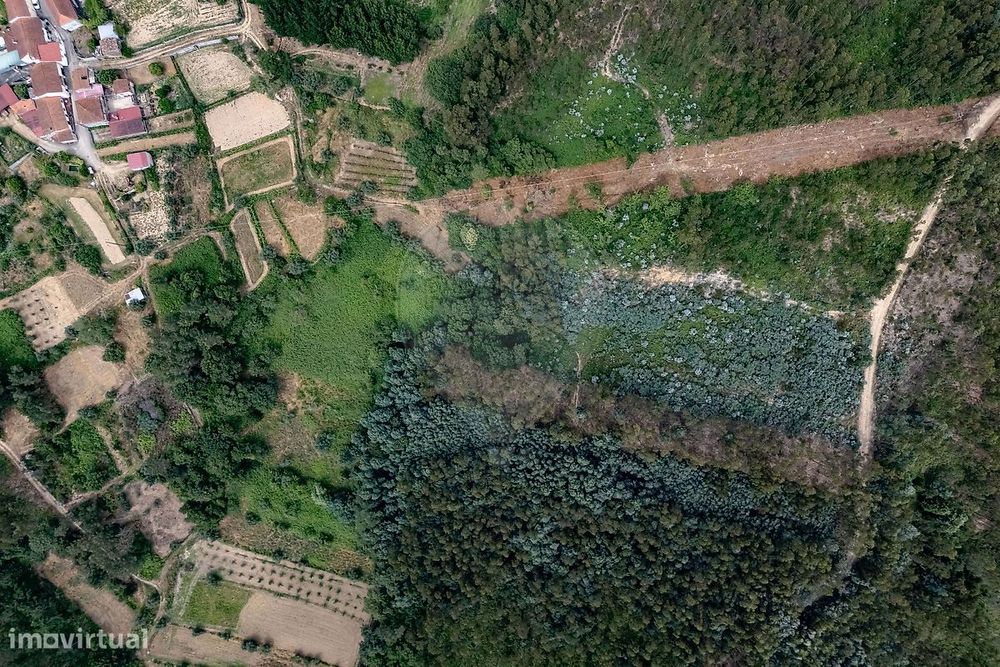 Terreno  para venda