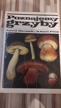 Grzyby - Atlas grzybów - ilustrowany