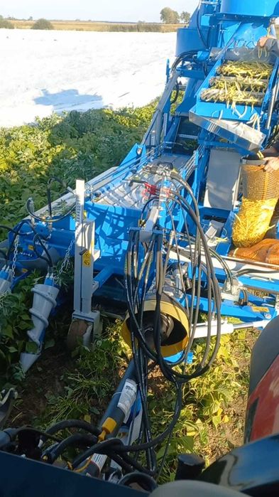 kombajn do fasolka szparagowa bób soja edamame FONTANA