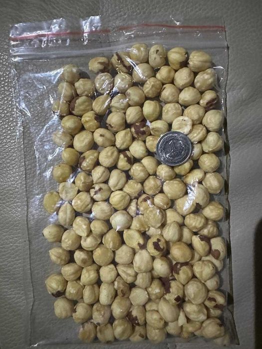 Orzechy laskowe premium z Gruzji – zbiór 2024, tylko hurt!