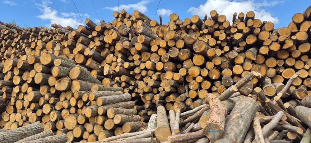 DĄB, Sezonowane Drewno kominkowe, do kominka, do pieca, woj. Łódzkie