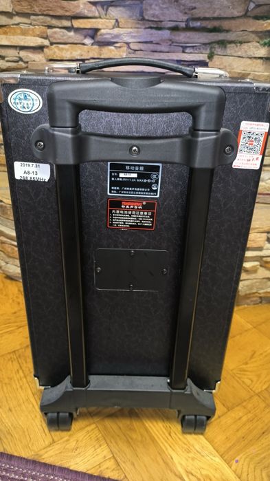 Temeisheng A8-13 80w + экран LCD для караоке.