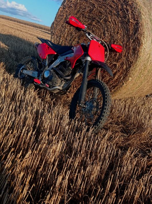 Cross Diabolini 250 Sprzedam
