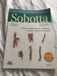 Tablice anatomiczne z wykazem mięśni stawów i nerwów Sobotta