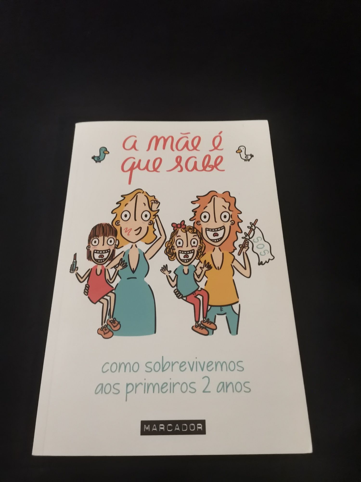 Livro a mãe é que sabe