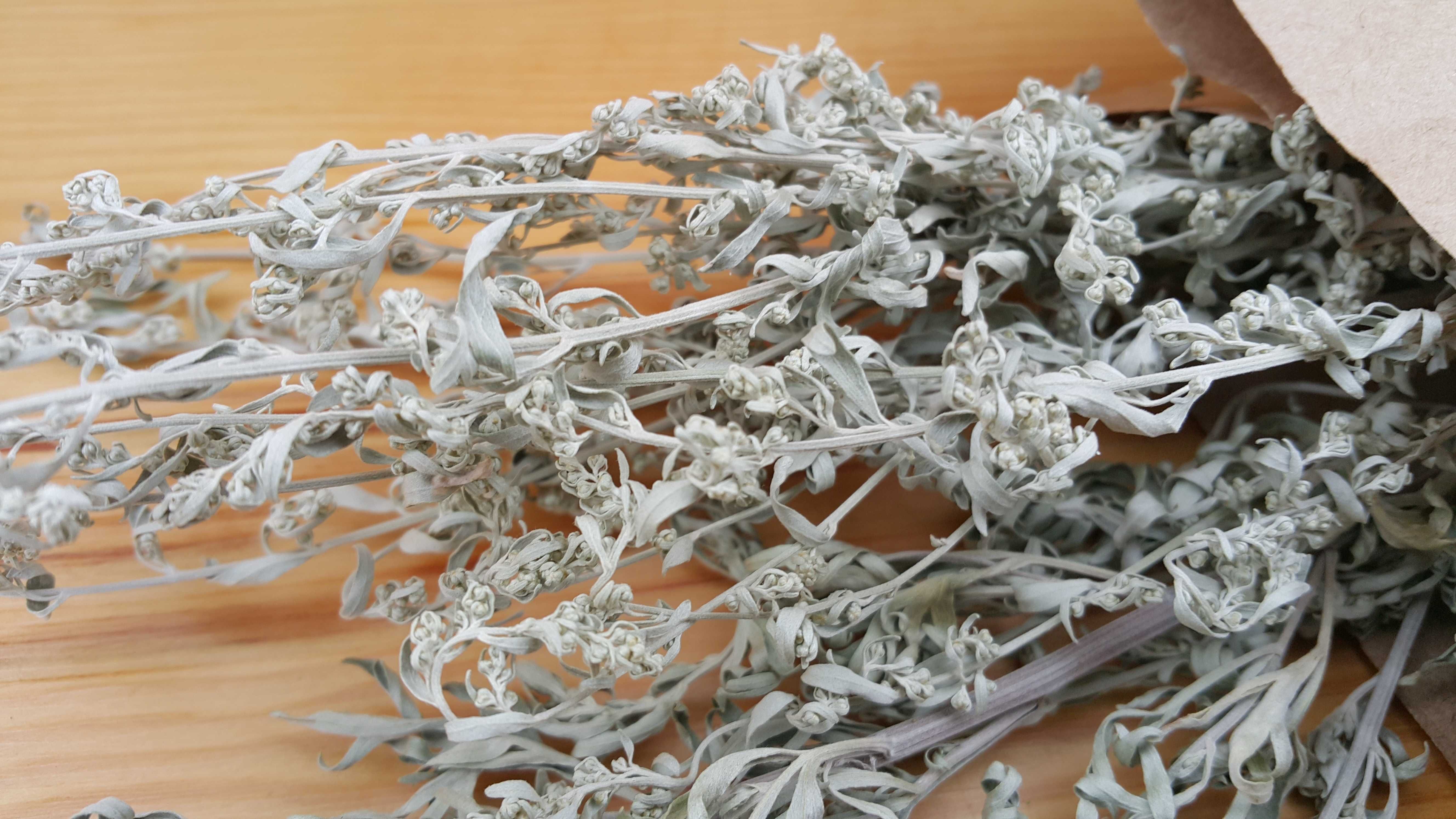 Piołun Bylica Bylica piołun  Artemisia absinthium L. suszone 25 gr