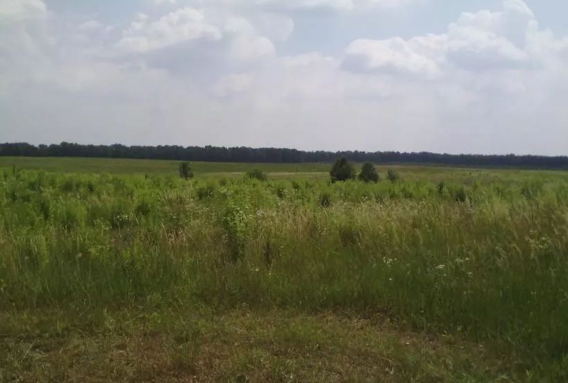 земельна ділянка 10сот Вінницький р-н с. Сосонка