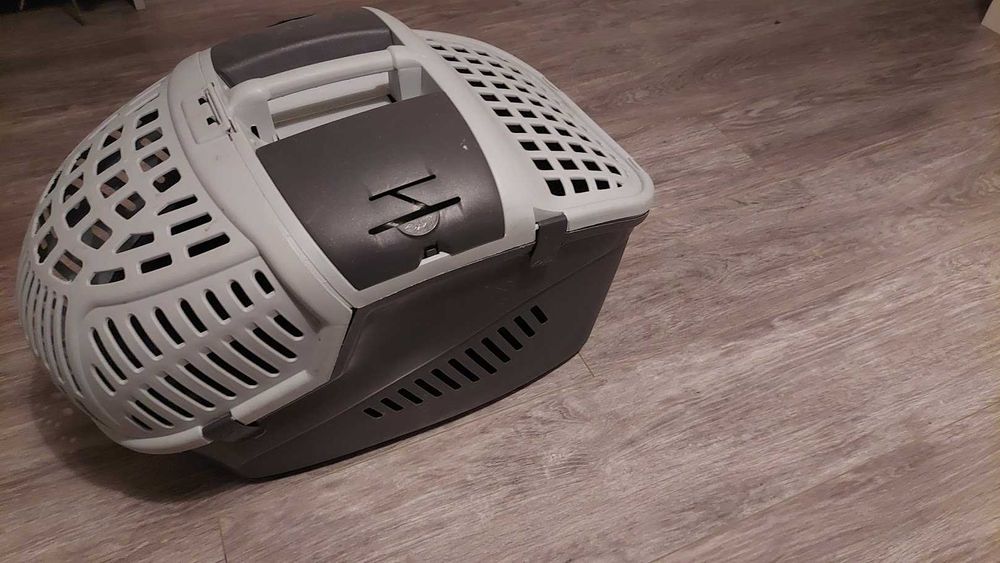 Sprzedam dwie samiczki świnek morskich z transporterem