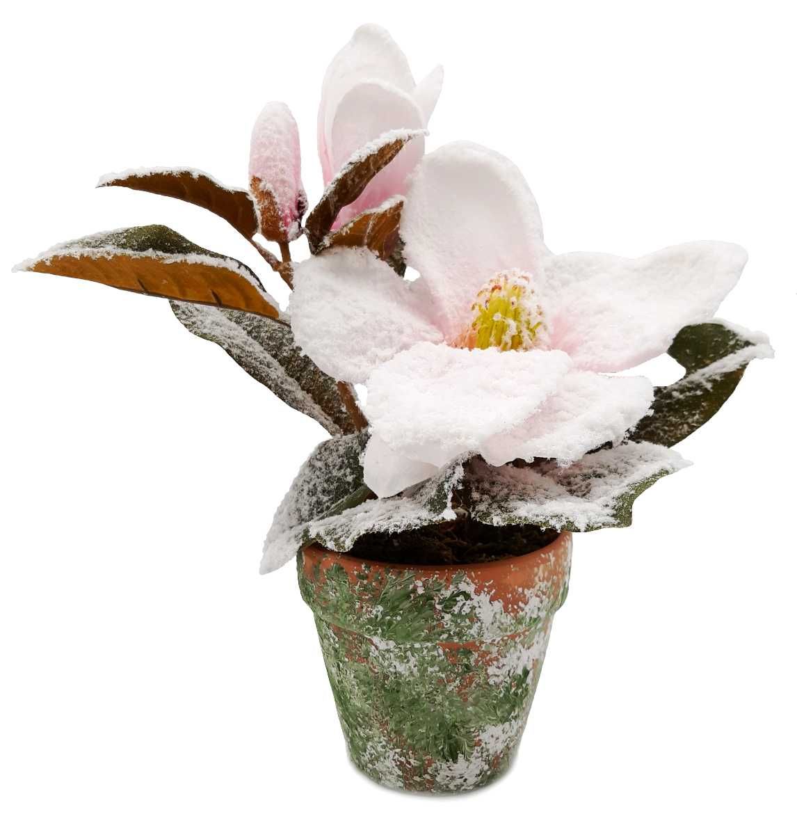Magnolia w doniczce ośnieżona sztuczna kompozycja 30cm KOLORY